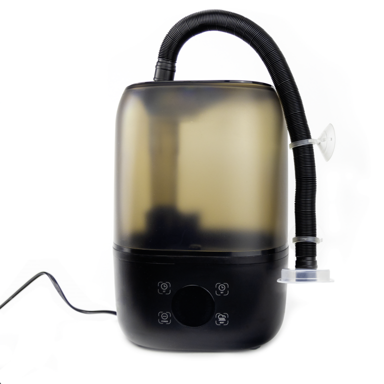 Ants Arena - fogger - large